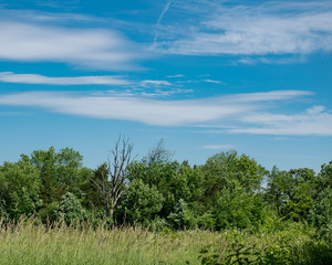Obraz premium Blue skies over the horizon