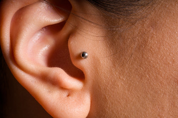 female ear tragus piercing close-up detail photo