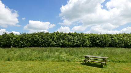 Table de picnic vide dans un champ