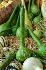 vegetables on market