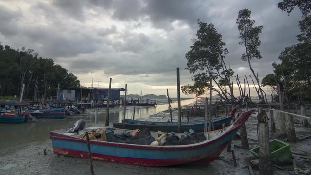 Timelapse sunset monkey play around the fishing boat at fishing village beside mangrove trees.