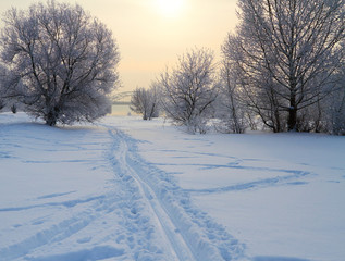 Winter landscape with snow covered tree branches