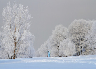 Winter landscape with snow covered tree branches