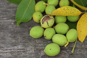 Walnuts plucked from a tree in a green shell. Harvest of walnuts. Selective focus. Macro.