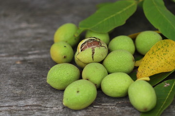 Walnuts plucked from a tree in a green shell. Harvest of walnuts. Selective focus. Macro.