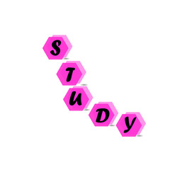 study lettering isolated on white