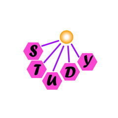 study lettering isolated on white