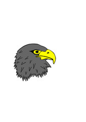 Fototapeta premium grau Steinadler Kopf Grafik Vektoren freigestellt