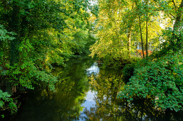 HDR Park in Autumn