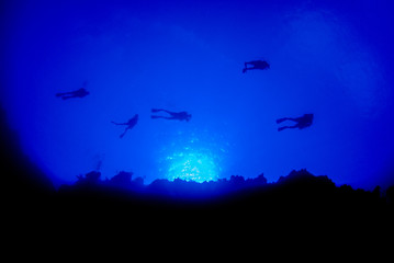A silhouette shot of some scuba divers. These fun enthusiasts are exploring the wall dive in the Cayman Islands and the sun can be seen way above them