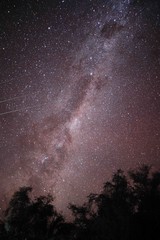 Milky Way Galaxy. Stars, trees and space