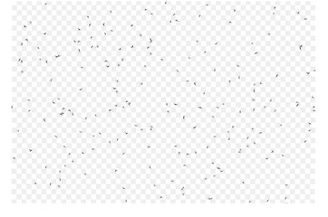 vector illustrative of group of mosquitoes flying on transparent background. concept design for baby protect spray from mosquitoes. mosquito is carrier bring disease to human