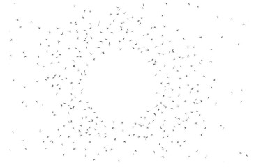 vector illustrative of group of mosquitoes flying in circle shape on white background. concept design for baby protect spray from mosquitoes. mosquito is carrier bring disease to human