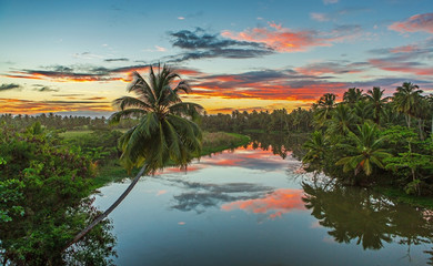 Sunset river sky clouds landscape with one palm. Sunset river water reflection view