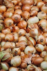 Früchte, Gemüse, Fruits, Lemon, Knoblauch, Tomaten, Zwiebel, Apple, Apfel