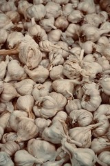 Früchte, Gemüse, Fruits, Lemon, Knoblauch, Tomaten, Zwiebel, Apple, Apfel