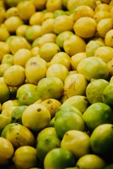 Früchte, Gemüse, Fruits, Lemon, Knoblauch, Tomaten, Zwiebel, Apple, Apfel