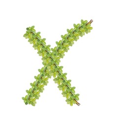 NATURE design patterns for clothes and home wallpaper hd