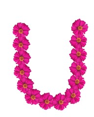 Nature made shape pattern design wallpaper hd