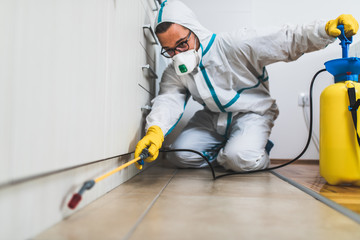 Exterminator in work wear spraying pesticide with sprayer. Selective focus. © hedgehog94