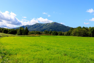 十勝の牧草地②