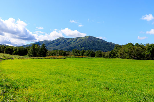 Meadow Road 　牧草地の道 豊富町大規模草地育成牧場 | 北海道Style