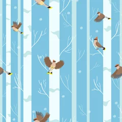 Wall murals Birch trees Waxwings birds seamless pattern in winter forest.