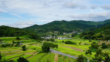 Naklejka premium 稲渕の棚田