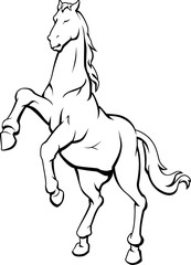 Horse Standing on Hind Legs, Line Art Illustration