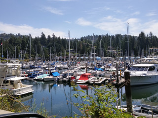 boats in harbor