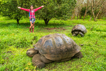 Galapagos Giant Tortoise and happy woman tourist on Santa Cruz Island in Galapagos Islands....