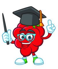 education character with graduate hat Raspberries Mascot  design vector