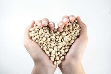 soybeans in hands