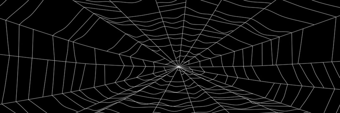 Large white spider web on black - 3d render