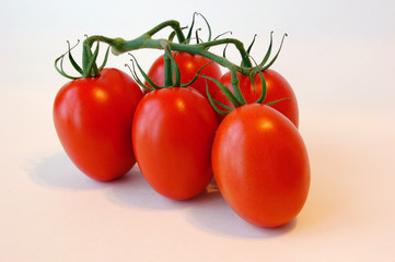 tomato