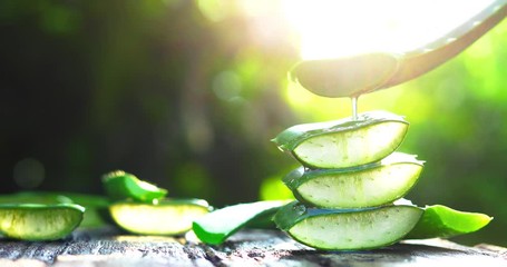 Aloe Vera on wood, fresh aloe vera leaves, herbal medicine for skin care and hair care.