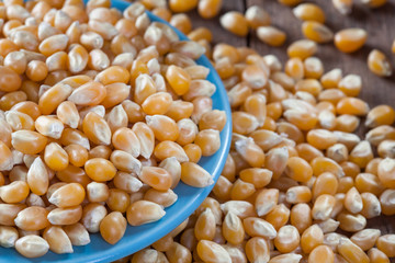 Dry corn kernels on a blue plate, set on a wooden table.