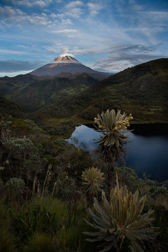 Beautiful landscape.Tolima snowy with frailejones, lake and vegetation. Colombia