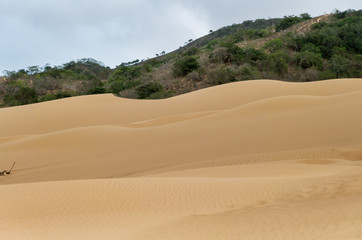 Sand dunes in the desert with green mountains in the back. La Macuira, La Guajira, Colombia