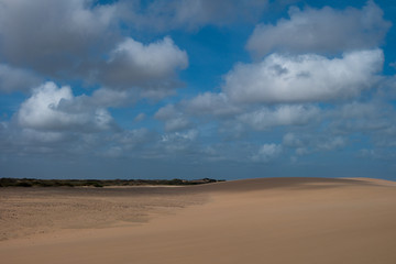 Fototapeta na wymiar Wild empty beach and dunes. Sand and blue sky with clouds. La Guajira, Colombia 