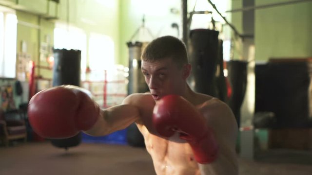 Muscular man professional boxer fights with boxing box, steady shot. Slow motion