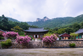 사찰