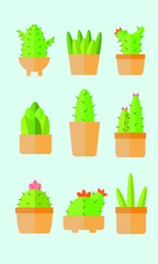 Cartoon Cactus Flat Design Illustration