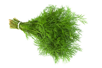 Dill herb bunch