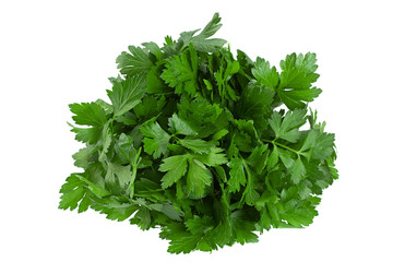 Parsley herb bunch