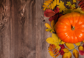 Autumn composition. Bright orange pumpkin, colorful autumn leaves on a wooden background. Free space for your text.