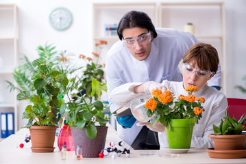 Two young botanist working in the lab