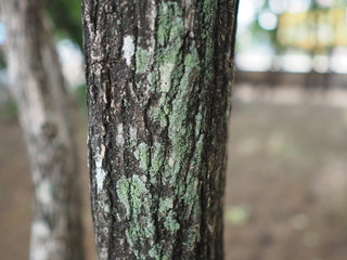 Fototapeta premium OLYMPUS DIGITAL CAMERA