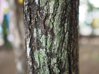 Fototapeta premium OLYMPUS DIGITAL CAMERA