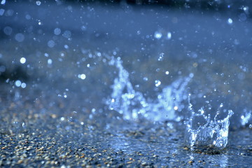 跳ねる雨水